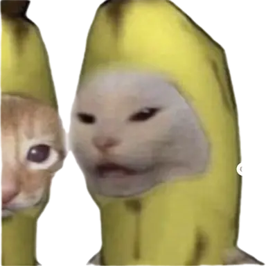 Profile image of 별문