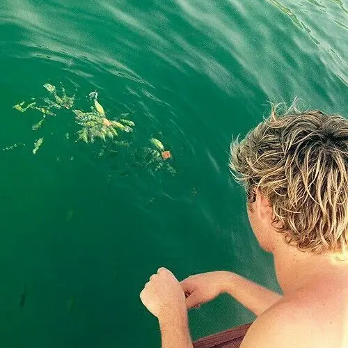 MutedFloss4565의 niall horan