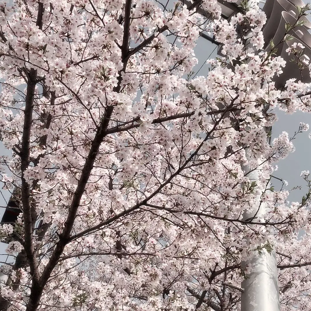 prettyh._.jjhk의 ㅊㅇㅈ