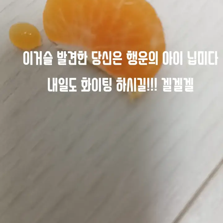 작두에 대하여 대표 이미지