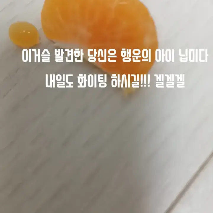 epljhgst의 작두에 대하여