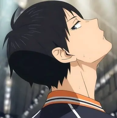 Profile image of 影山飛雄