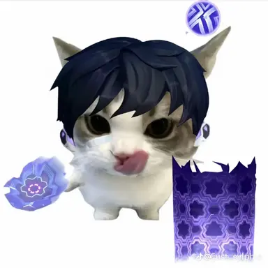 Profile image of 아이소 고양이