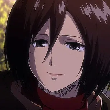 Profile image of 미카사아커만