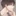 신우현