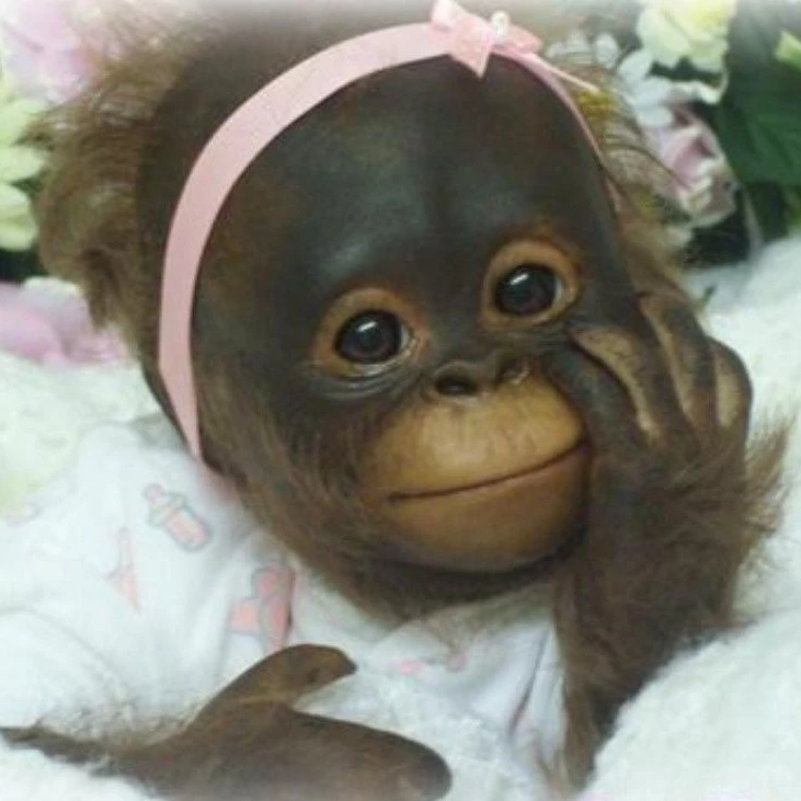 수인 경매장 아저씨