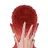 박도현