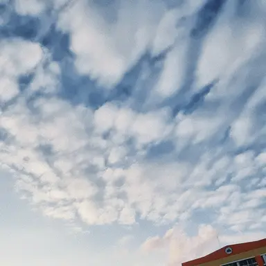 Profile image of 여우