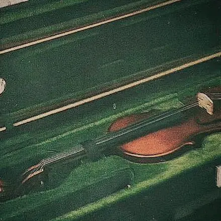 N4L3의 virtuoso