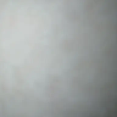 Profile image of アバッキオ
