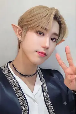 Profile image of Han jisung