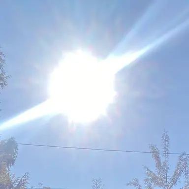 Profile image of 동영배-태양