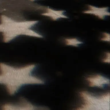 Profile image of ミンホ