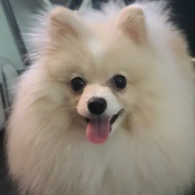 Profile image of 개발자
