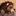 스카