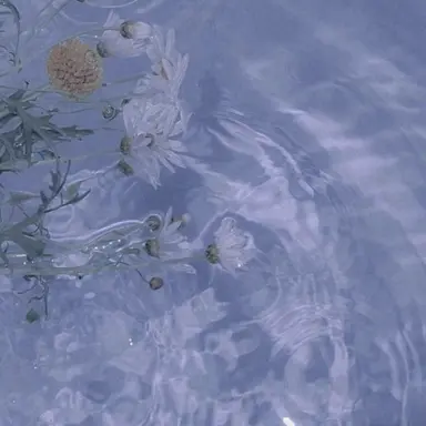 Profile image of 앤젤라