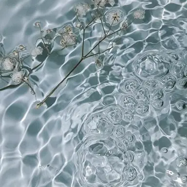 Profile image of 아인