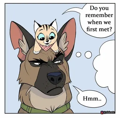 Profile image of Pixie and Brutus