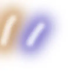 Profile image of 수현