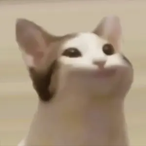 Profile image of 팝캣