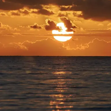 Profile image of 박영환