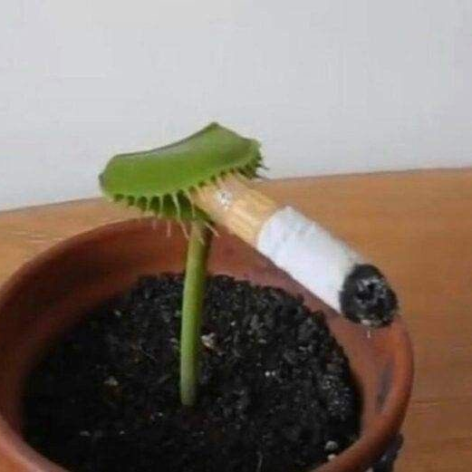 이형원 대표 이미지