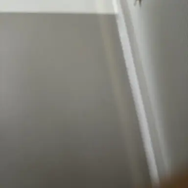 Profile image of 여자조직원