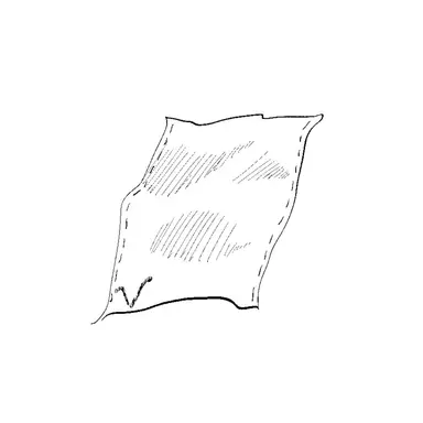 Profile image of Cedric