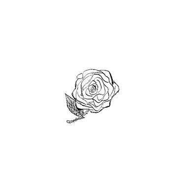 Profile image of Leon
