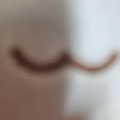 Profile image of 뜰팁고등학교