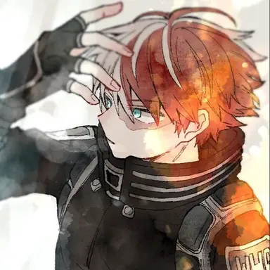 Profile image of Shoto Todoroki