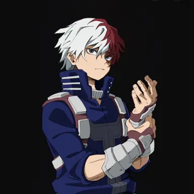Profile image of Shoto Todoroki