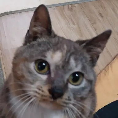 Profile image of 서권