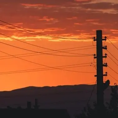 Profile image of 박덕개