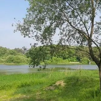 Profile image of 정공룡