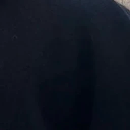 표지호