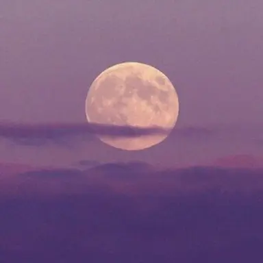 Profile image of 수현