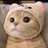 길냥이