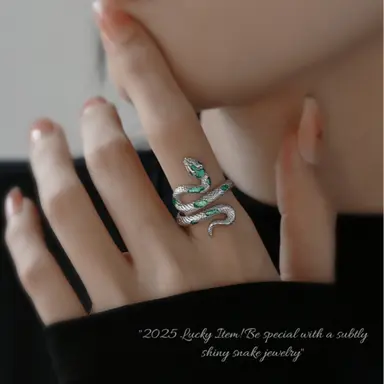 Profile image of 류 시라키