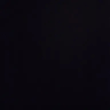 Profile image of 잔스
