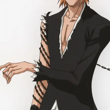 Profile image of ichigo