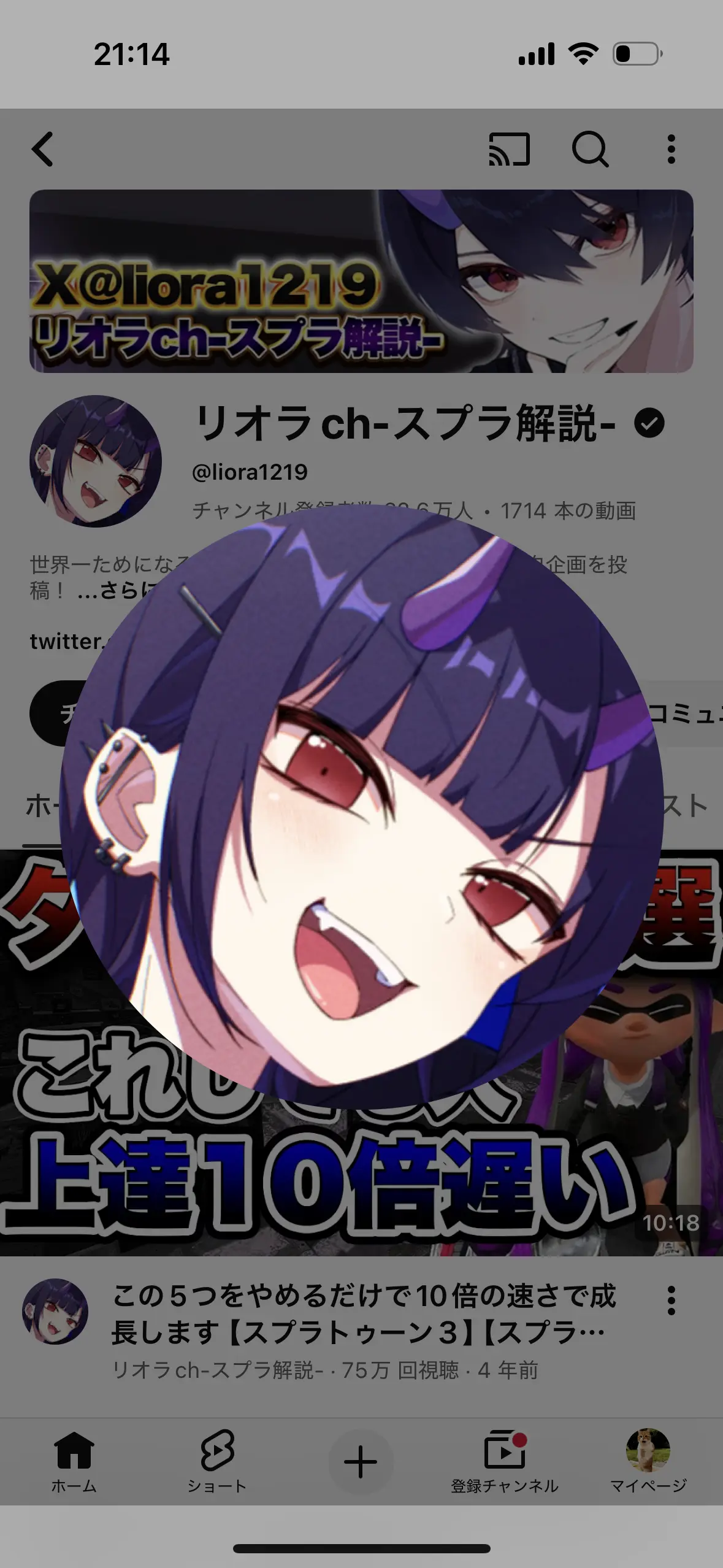 SolemnMamba9867의 リオラ軍団