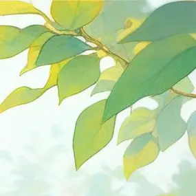 RoomyBoss1794의 観葉植物