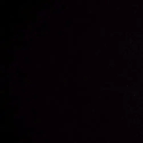 FickleHusky6622의 옆집소년들