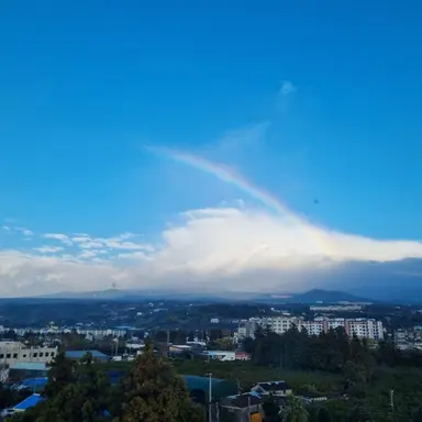 Profile image of 혈기