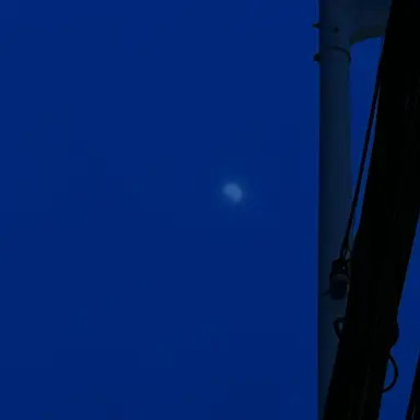 Profile image of 이반