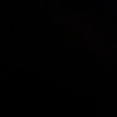 Profile image of 백현우