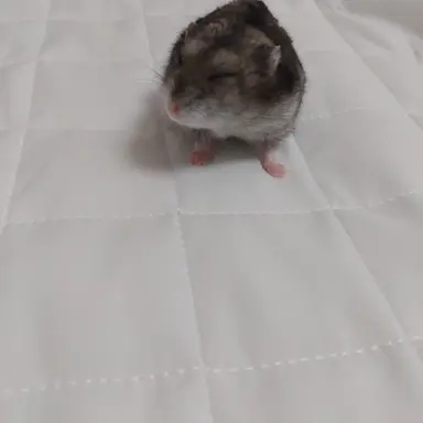 Profile image of 이름없음