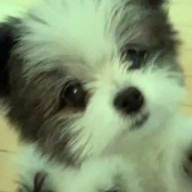 Profile image of 우유참치