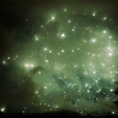 Profile image of 공룡